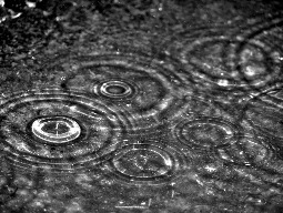 Puddles