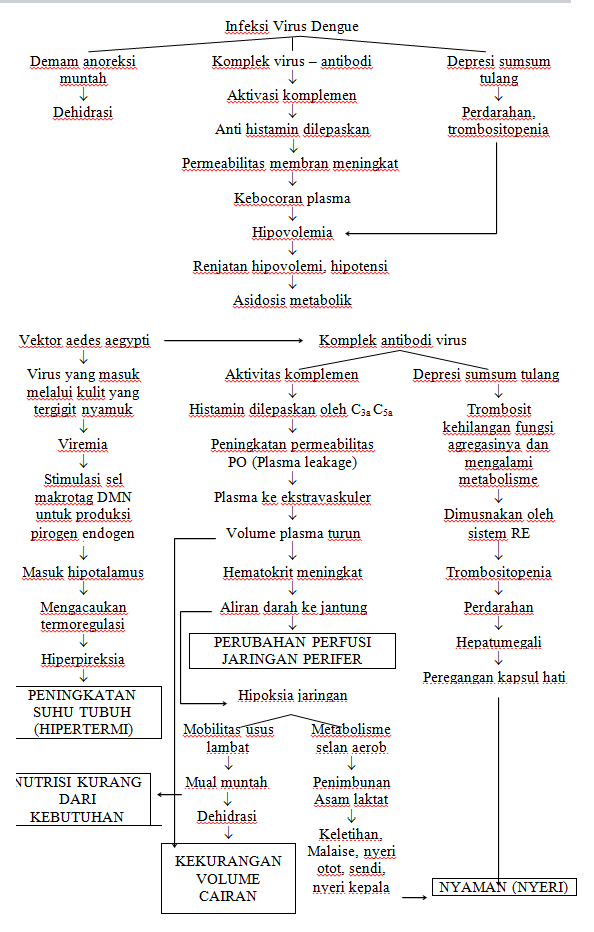 Asuhan Keperawatan Pada Penyakit Demam  Berdarah Dengue DBD 