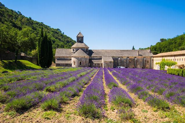 Abbazia di Senanque e campo di lavanda-Provenza