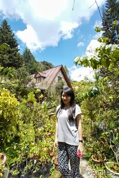 SONY DSC