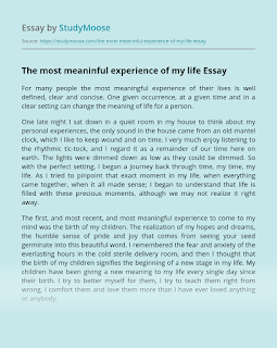 life experience essay example