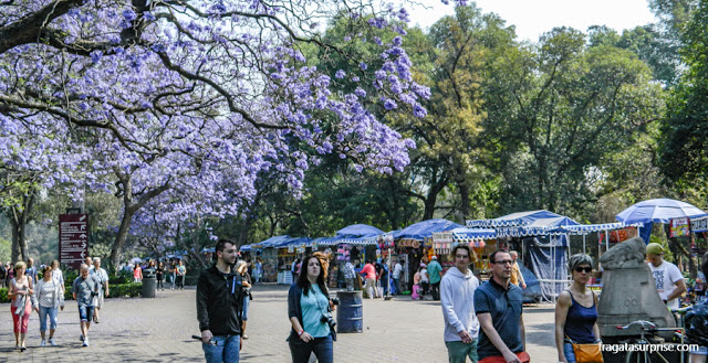 Bosque de Chapultepec, Cidade do México