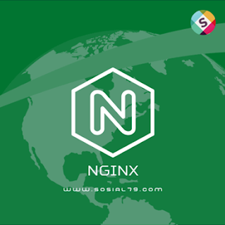 Pengertian Nginx atau engine x