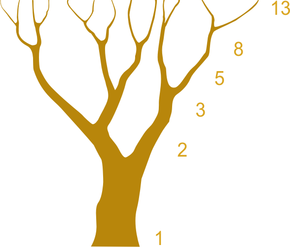 Arbol, Fibonacci