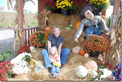smaller pumpkin patch 061