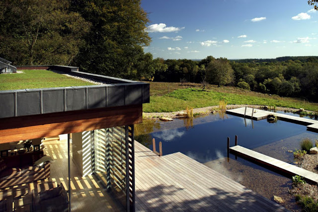 Grass on terrace UK