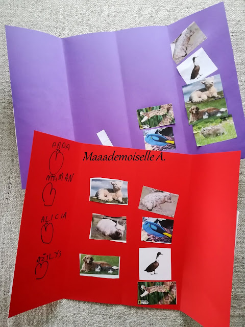 || Lapbook : animaux