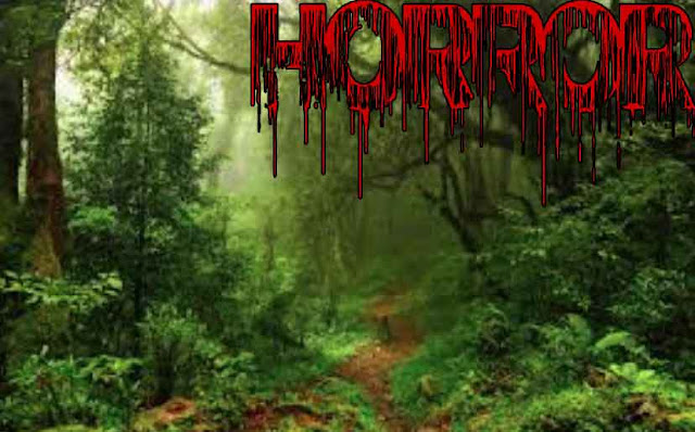 Cerita Horor - Sumur Tua Berada di Dalam Hutan Angker