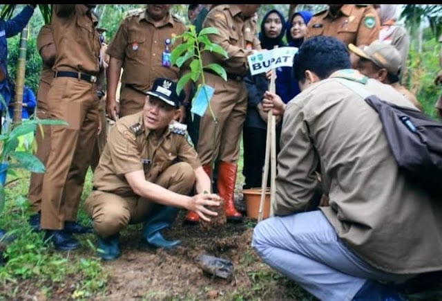 Tanam Bibit Pohon Di Lokasi Terdampak Banjir, Bupati Sabar : Pasaman Akan Menjadi Kawasan Banjir Buah