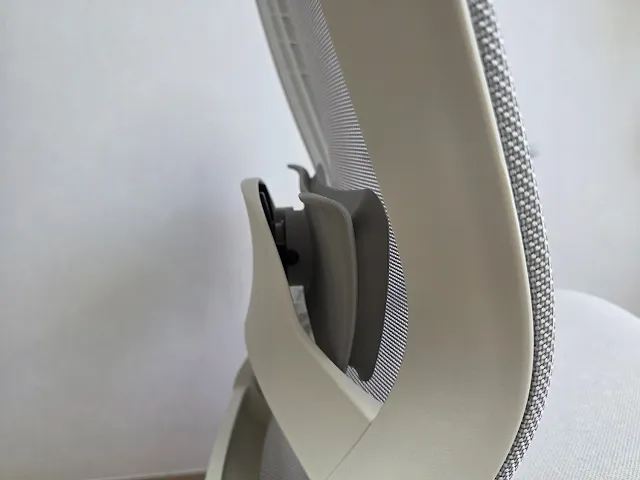 T50 허리 받침