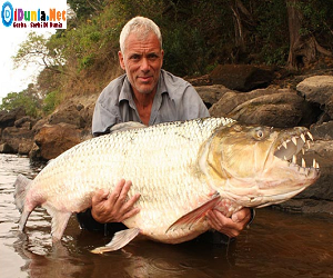 Ikan teraneh didunia