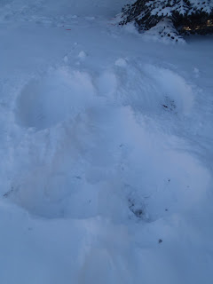 A snow angel in the front yard