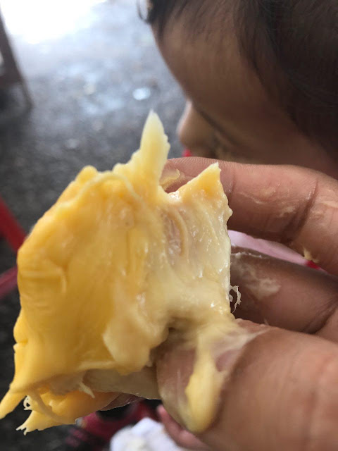 Tempat Makan Durian di Alor Setar Kedah ~ Kereta Sewa Alor 