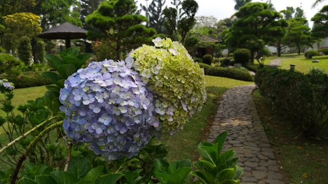 Taman Jepang