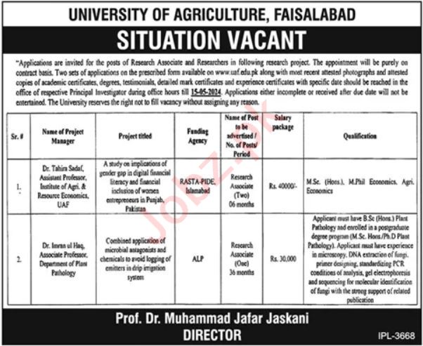 University of Agriculture UAF Research Jobs In Faisalabad 2024