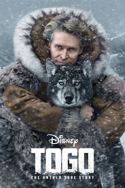 [HD] Togo 2019 DVDrip Latino Descargar