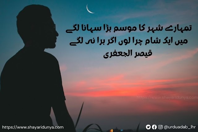 Top 10 Famous Poetry on Evening in Urdu | Udas Sham Poetry | Dhalti Sham Poetry in Urdu