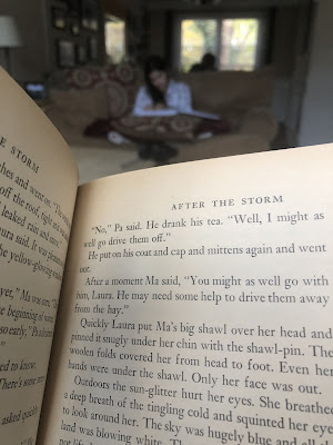 A photo of my book with you in the blurry distance reading Little House.