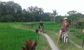 Cycling Tour Ubud