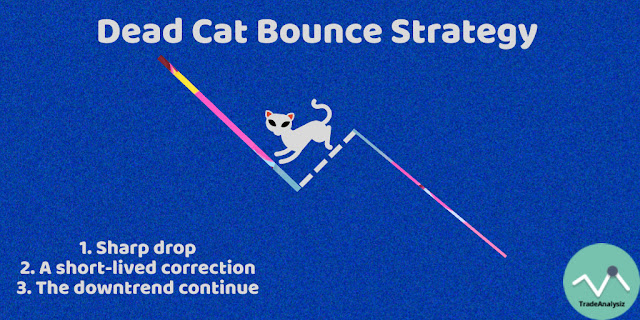 Dead Cat Bounce Strategy - An Explanation And Examples