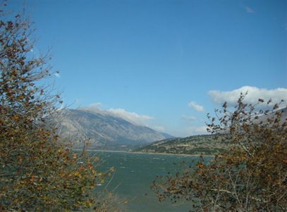 DSC05772