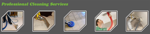 http://carpetcleaning--thewoodlands.com/carpet-cleaners/professional-cleaning-services.jpg