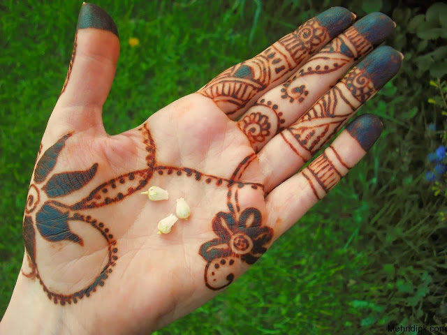 Simple Mehndi Designs 2013-2014 For Girls