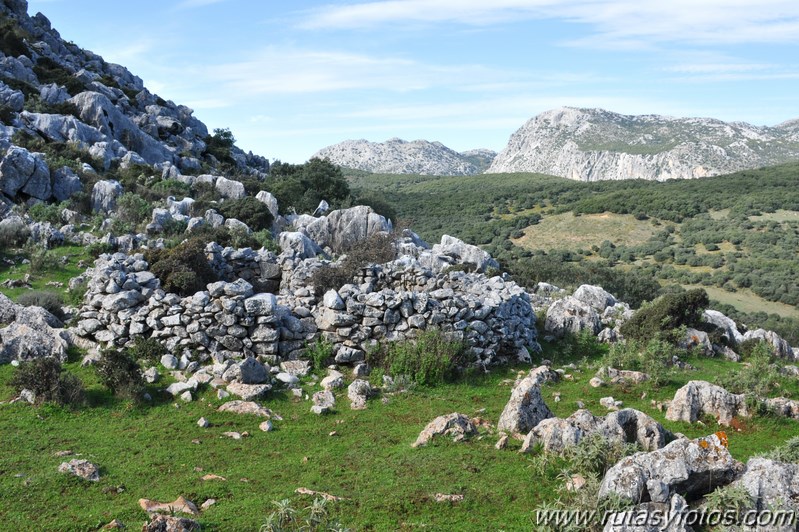 Subida a los Cerros Patagalana y Lajares