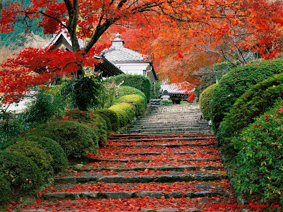 Beauty of Japan Wallpapers