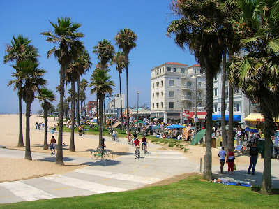 Palm Trees at Venice Beach