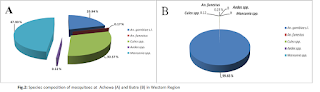 Species composition of mosquito at Achowa and Buutre