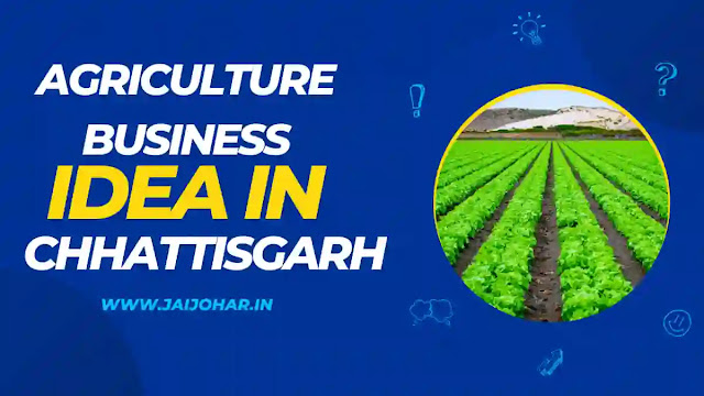 Agriculture Business idea in Chhattisgarh Hindi