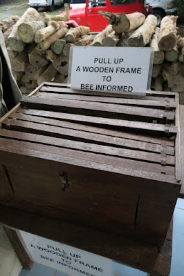 how to raise bees philippines