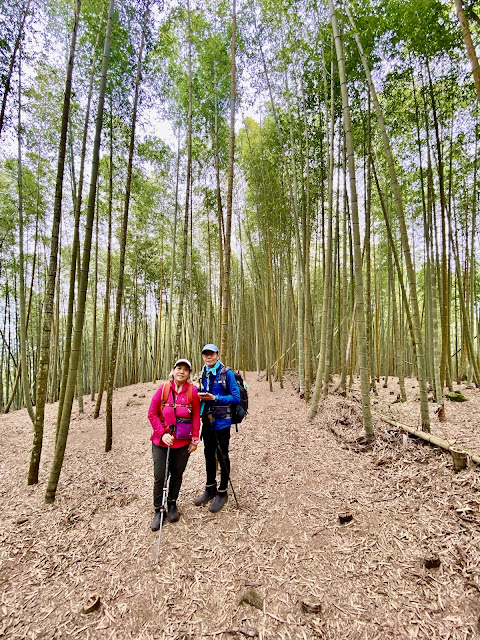 往溪頭山登山口