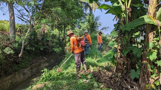 UPTD PU Jampangkulon Lakukan Perawatan Saluran Irigasi di Wilayah Surade