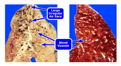 the medical record material is the property of the