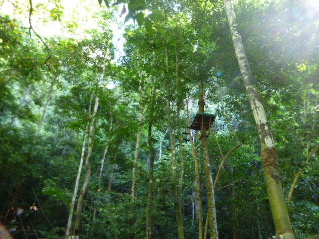 Tree Top Adventure Park Thailand