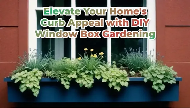 Elevate Your Home's Curb Appeal with DIY Window Box Gardening