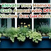  Elevate Your Home's Curb Appeal with DIY Window Box Gardening