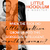 Cover Reveal & Giveaway - Little Hoodlum by K Webster 