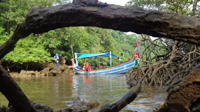 SegoroAnakan beach, a small paradise island Sempu, Malang. mangrove