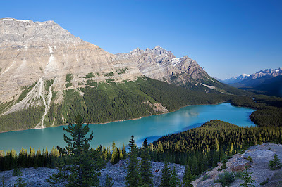 Peyto Lake Canada