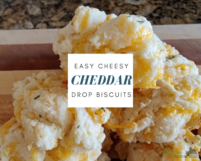 how to make cheddar biscuits