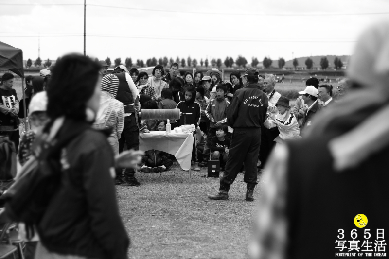 田んぼアート収穫祭 2013 in 宇治市槙島町 結いの田