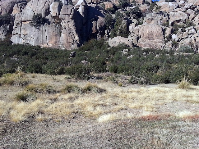 El Yelmo con niños. La Pedriza. Parque Nacional de Guadarrama.