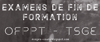 Examens de fin de formation TSGE