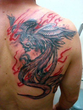 tatuagem fenix