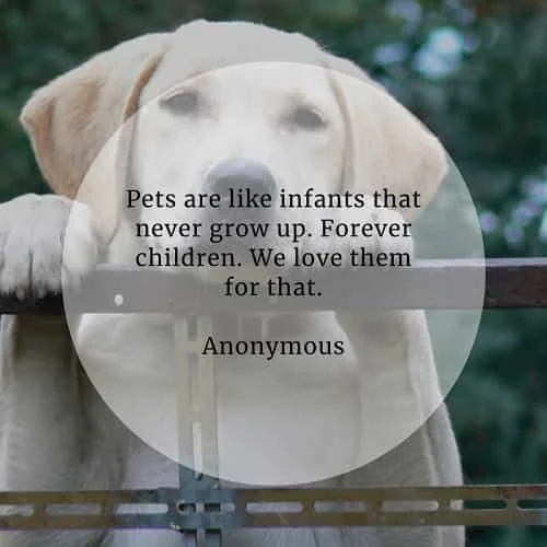 Inspirational pet quotes about their unconditional love