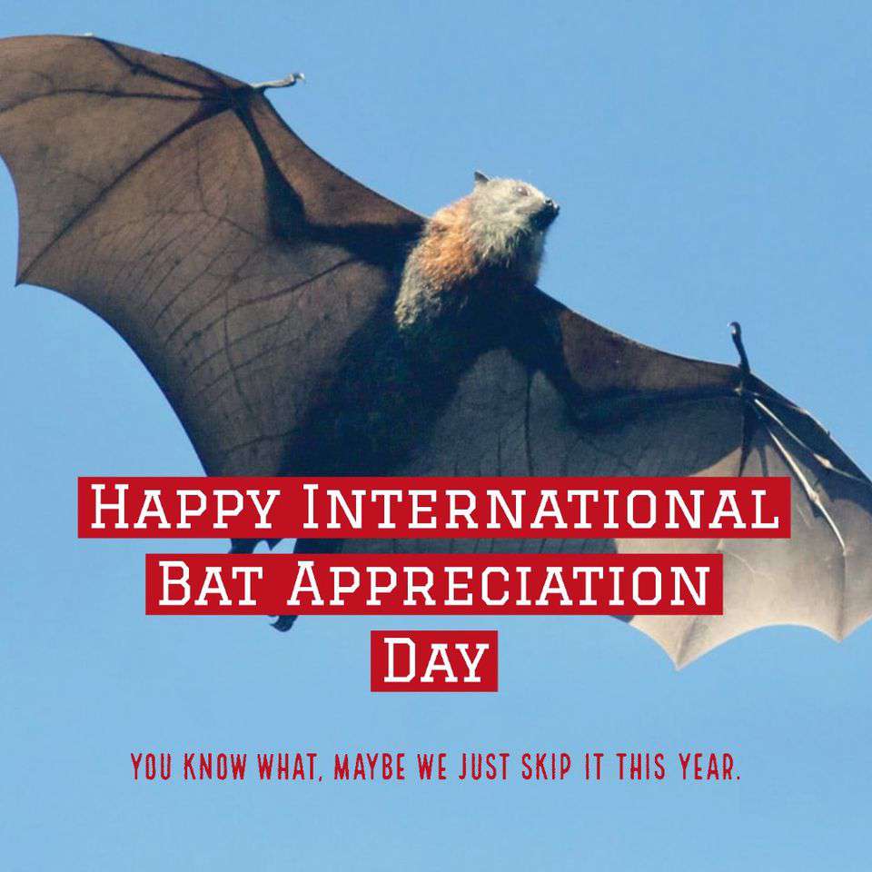 International Bat Appreciation Day Wishes Images download