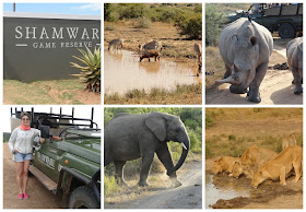 CATCHING BIG FIVE AT SHAMWARI GAME PARK, SOUTH AFRICA